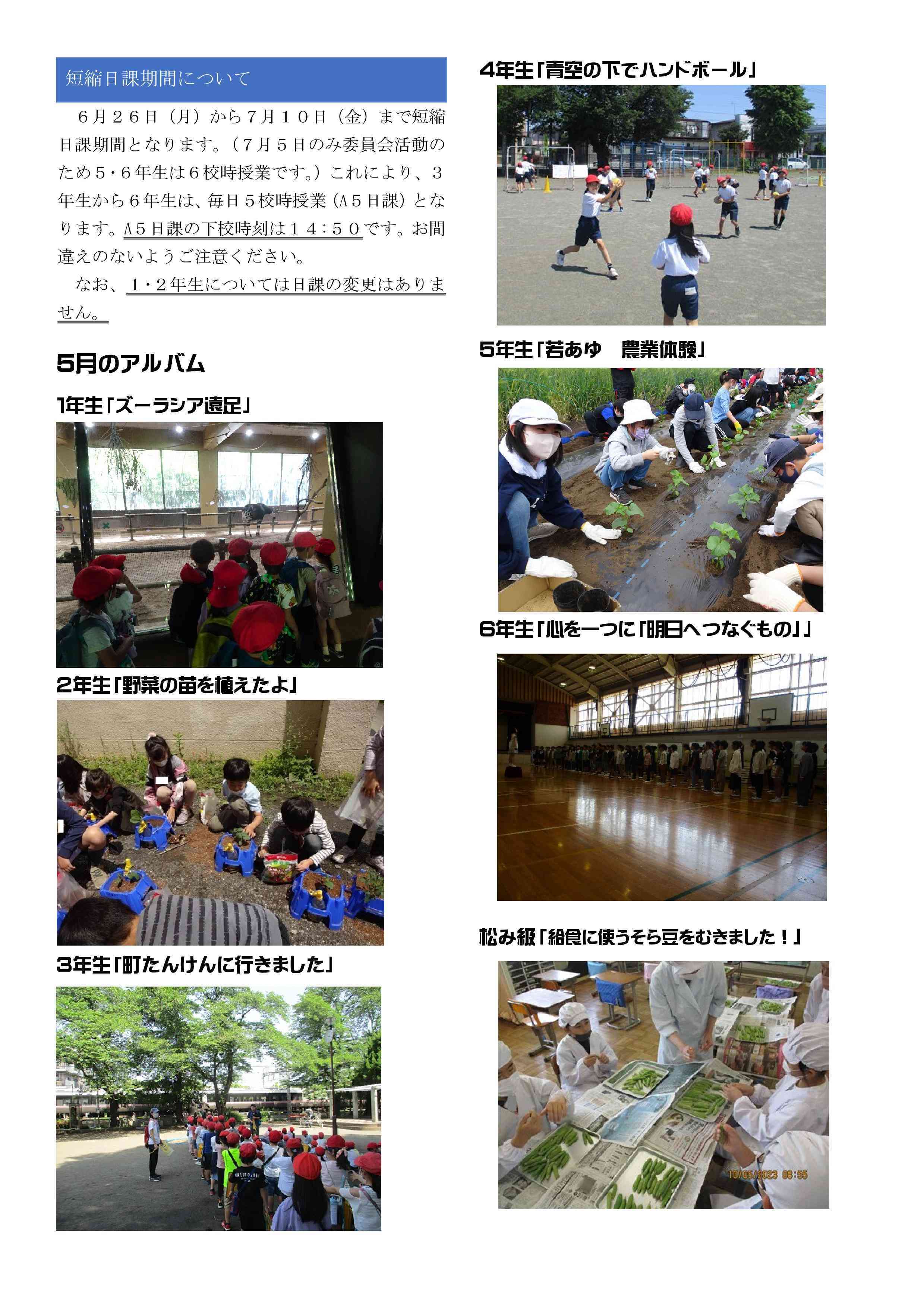 学校だより202306-4.jpg